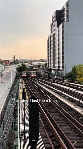 Exploring the 6 Train: A NYC Adventure