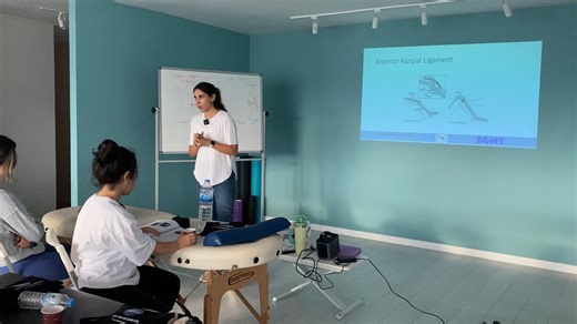 14- Anterior Kürşiat Ligament