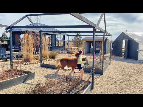 We are Back with BIG Changes at the Lawrence Garden Farm | Wisconsin Garden in February