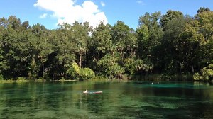 5.8K views · 265 reactions | Swimmers at Alexander Springs, Ocala National Forest | Florida Hikes! | Facebook