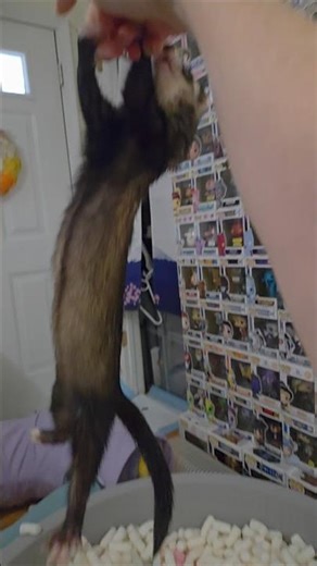 Cheep Has A Super Strong Grip