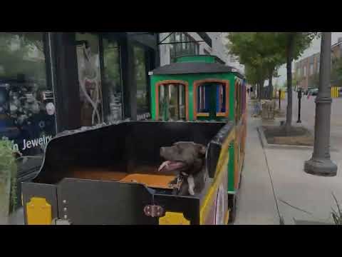 Driving A Wattman Mini Express Train Outdoors, Liberty Center Express, How Many Angles Did You Count