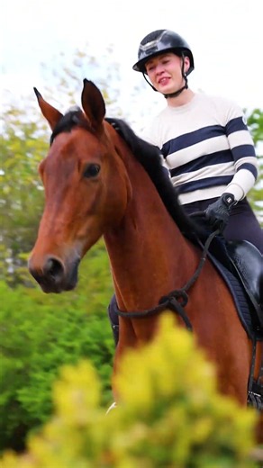 Sometimes all you need is a great horse and a nice saddle
