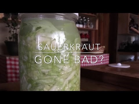 How to tell if your Sauerkraut has gone bad!