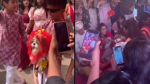 Family gets their dogs married in a grand wedding ceremony. Viral video divides Internet