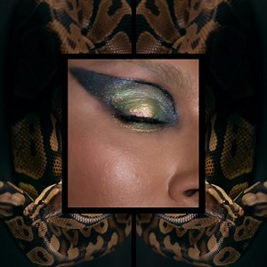 NEW! Wild Obsessions Eyeshadow Palettes 🐍🐾🐅🦎 Fiercely pigmented shades & creamy AF texture. Unleash your wild side with these 4 limited-edition, universal mini eyeshadow palettes! | Huda Beauty