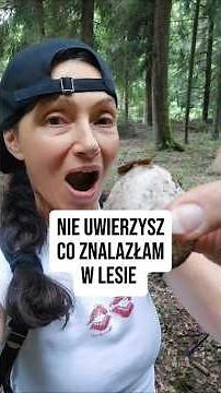 This amazing find has already appeared in the forests 👌 #mushroom #mushrooms #mushroomhunting