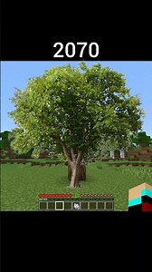 Minecraft with super realistic graphic #minecraft