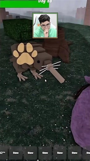 I MANAGED TO TAME THE KIWI IN ROBLOX! LOL