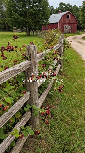 Finding Your Life's Goal: Embracing Wide Open Spaces