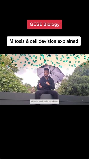 Understanding Cell Division and Mitosis: A Comprehensive Guide