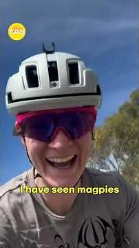 Aussie Cyclist Takes On Swooping Magpies | Today Show Australia