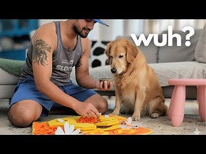 MY DOG GOT STUCK!! 🤣 Snuffle Mat Challenge with Golden Retriever