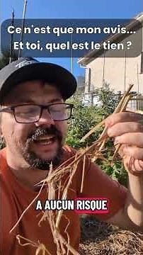 Straw or Hay for the Vegetable Garden? #gardening #vegetablegarden #hay #mulching