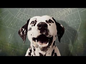 Rush - Signals (40th Anniversary) bluray