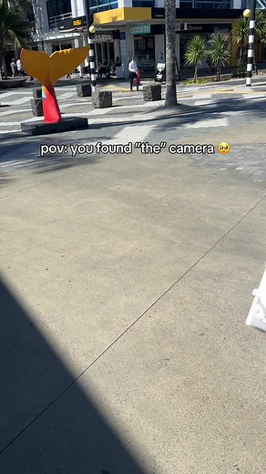 Explore the World of Digital Cameras for Memorable Photos