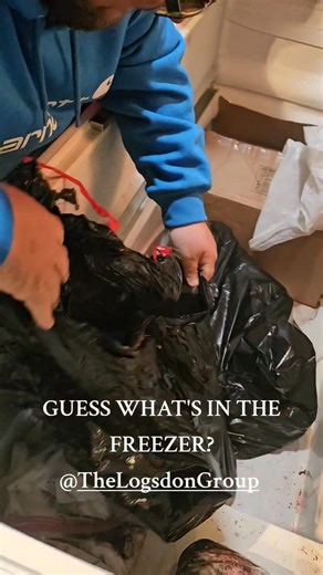 5.4K views · 39 reactions | GUESS WHAT'S IN THE FREEZER? When we run across a deep freezer tucked away in the basement you just never know what you will find!!!!! #THELOGSDONGROUP #estateauctionspecialists #EstateAuctionFinds #onlineauction #auction | The Logsdon Group | Facebook
