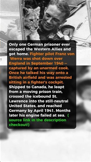 Only One Prisoner Ever Made It Home #short #history #ww2