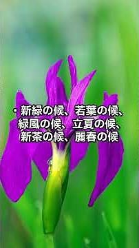 【5月の挨拶】ビジネス文書に役立つ！時候のあいさつ例文まとめ#shorts