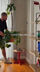 See if your therapy is covered by insurance. Match with a BetterHelp therapist easily online. | BetterHelp