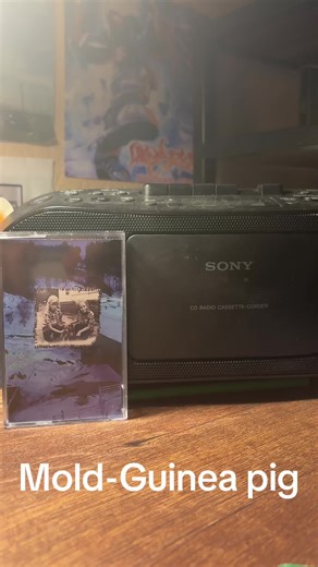 One of the most criminally underrated screamo bands ever #emo #screamo #fyp #emoviolence