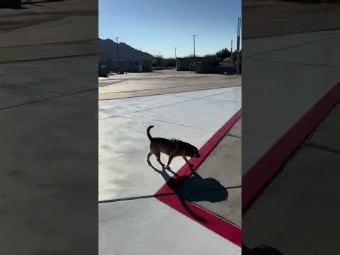 Winnie's Blank Search: The whole world is a search area. 1-12-26