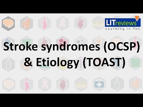 Stroke syndromes OCSP Etiology TOAST