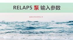 RELAP5泵输入参数