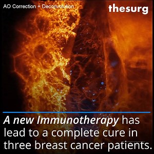 38K views · 63 reactions | A synopsis of some of the scientific progress made last week. References to all studies are here: surg.ws/2HyBuji | The Surg | Facebook