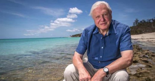 The Best Documentary Narrators