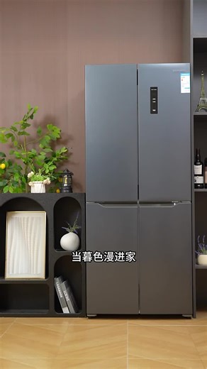 创维（SKYWORTH）419升风冷十字对开门家用电冰箱一级能效变频超薄嵌入BCD-419WXPS(N)补贴