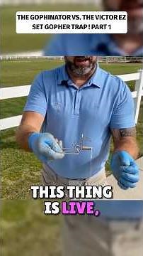 Who Gets The Gopher? The Gophinator vs Victor EZ Set Gopher Trap - Part 1