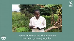During this Season of Creation, we've asked friends in different parts of the world to read and reflect on Paul's words in Romans 8: 19-25. How are they seeing creation groaning around them? And what does it mean to them for creation to be liberated from bondage? Here's a response from BMS mission worker Genesis Acaye. Genesis works among farmers in northern Uganda, strengthening their capacity to improve yields and livelihoods whilst restoring God's good creation through tree planting projects.