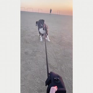 5.6K views · 797 reactions | Amber Heard today via Instagram  | Amber » Fans | Facebook