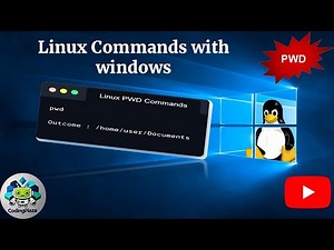Guide to Linux pwd Command With Examples
