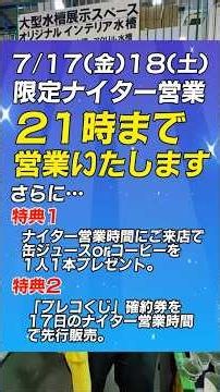 Extended Night Hours 7/17 (Fri) & 18 (Sat) | Aquarium Tropical Fish