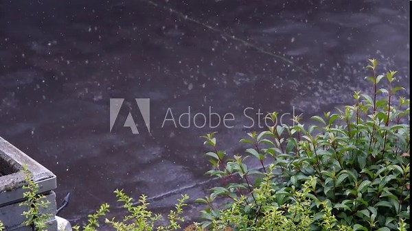 Raindrops falling on the street, the rain in the spring season with the sound of rain.