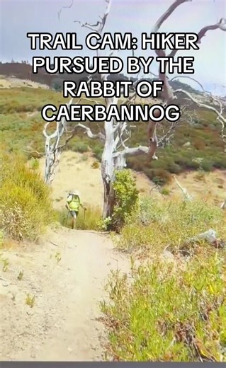Trail Cam: Hiker Pursued by the Rabbit of Caerbannog