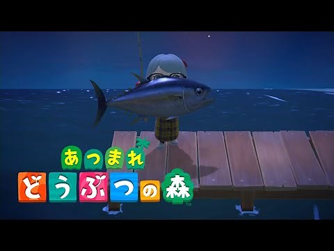 【あつ森】レア魚 マグロの魚影・出現場所・時間【あつまれどうぶつの森/Switch】