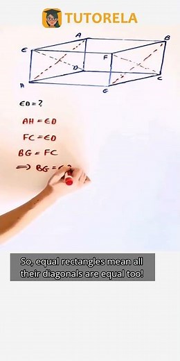 Rectangular Prism Diagonals: Equal Lines Explained #Math #Cuboids #PartsOfACuboid