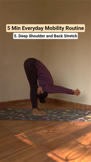 Everyday Full Body Mobility Routine!