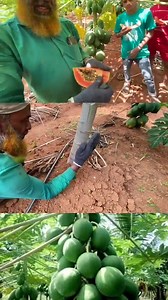 Rayan pets farm on Reels