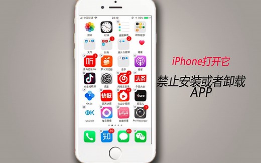 iPhone打开它，可以禁止安装和卸载APP
