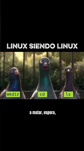 Linux Fast and Easy | Distros Explained