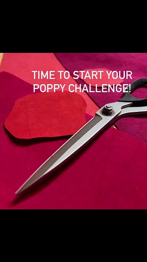 Happy New Year! New Year=New Projects! Have you gotten your idea for The Poppy Cherrywood Challenge? Have you bought your bundle yet? Oo- and don’t forget the Special Collector series of Aurifil threads. We had fun playing with different weights on our sample. QUILTS DUE MAY 15, 2024! #cherrywoodchallenge | Cherrywood Hand-Dyed Fabric