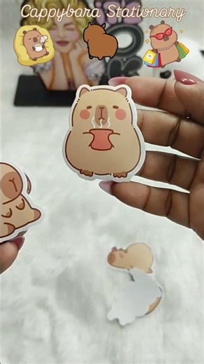 Cappybara Stationary Combo 💫🌈#trending #viral #youtubeshorts #shorts #stationery #stationeryaddict