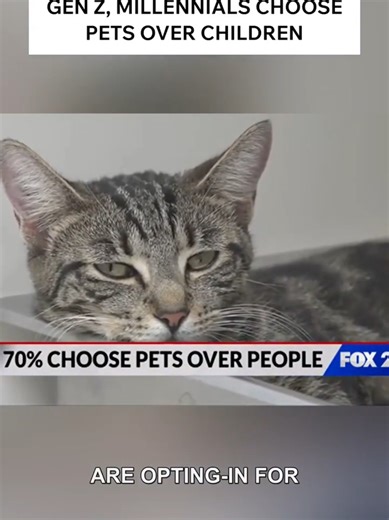 #stitch with @FOX 2 - St. Louis