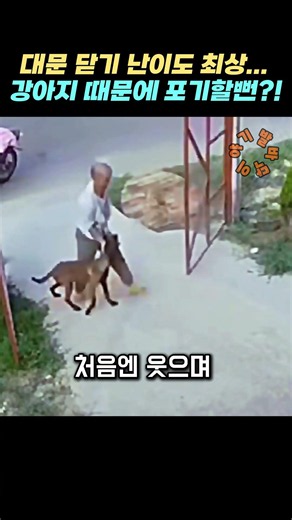 대문 닫기 난이도 최상… 강아지 때문에 포기할뻔?!