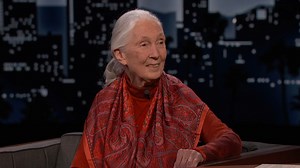 Dr. Jane Goodall wanted to work with animals from the time she was born… 🦍💙 | Jimmy Kimmel Live
