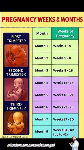 How to Calculate Pregnancy Weeks and Months ? Pregnancy Guide #viralshorts